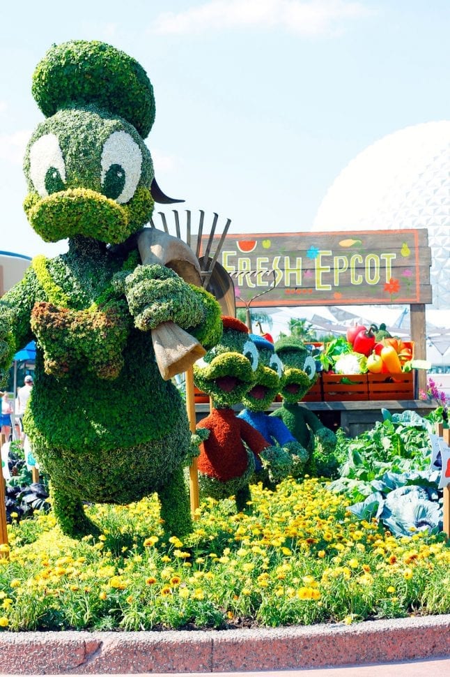 Donald Duck topiary and display at Epcot Flower and Garden Festival.
