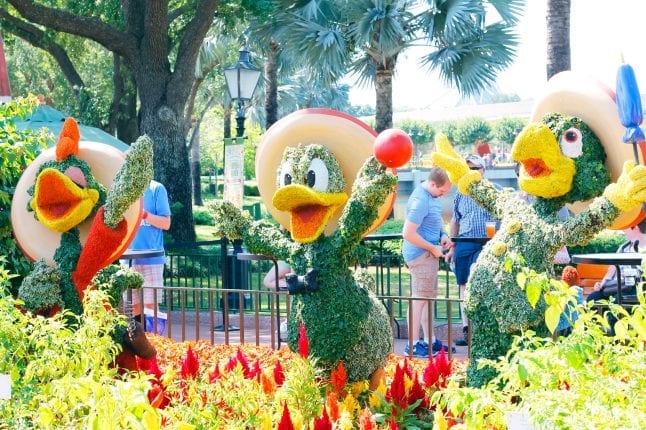 Topiary of the Three Caballeros at Epcot Flower and Garden Festival.