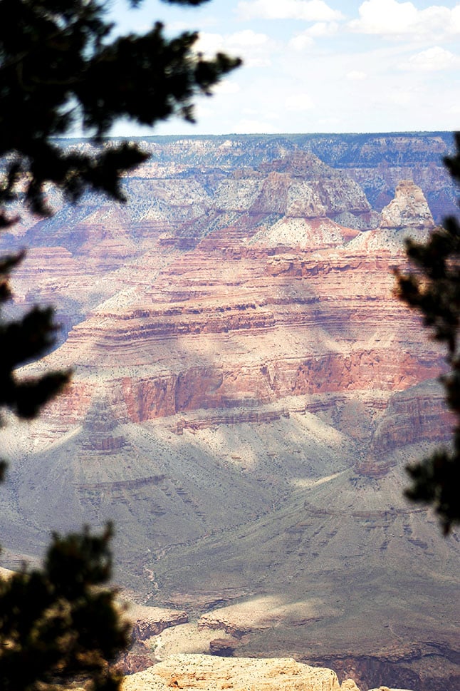 Looking through trees to view the Grand Canyon