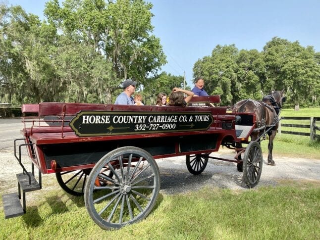 Carriage tour vehicle in Ocala Florida