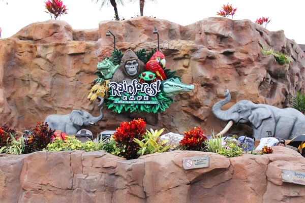 Rainforest Cafe at Disney Springs and Animal Kingdom isn't worth the price tag.