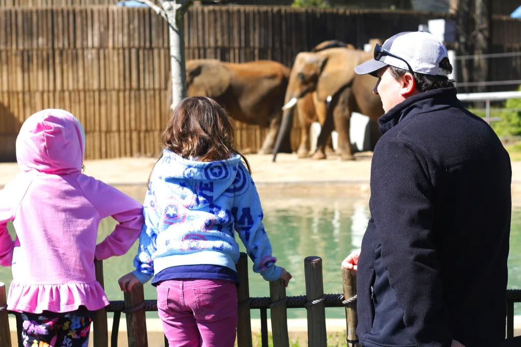 Elephant watching at Memphis Zoo