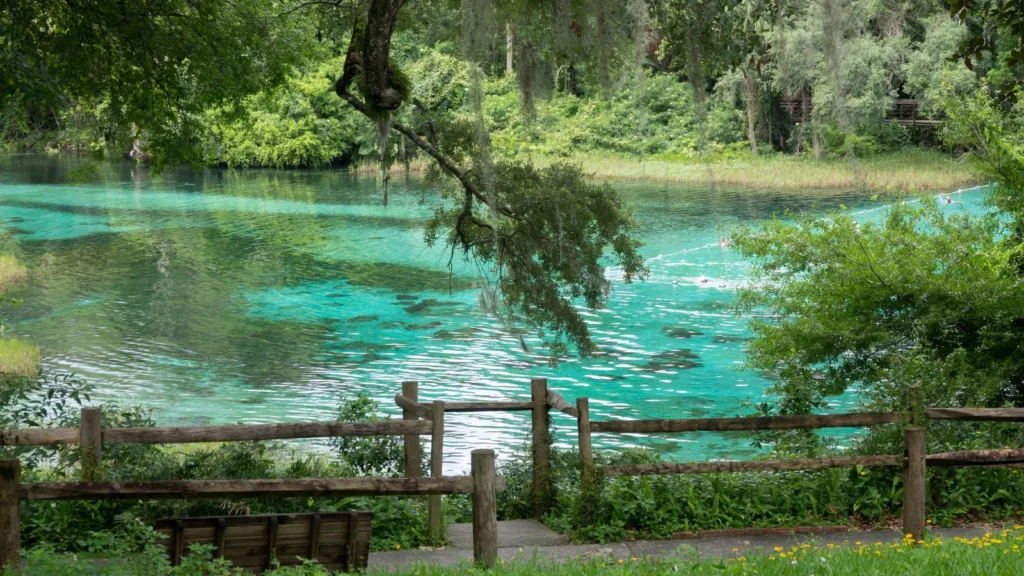 Crystal clear water in Rainbow Springs State Park