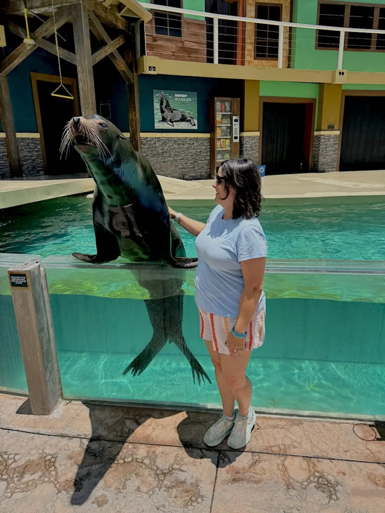 Meeting a sea lion at Sea World, one of the many things you can do at San Antonio theme parks.